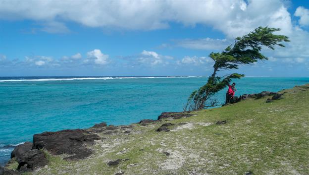 Die Lagune, die Rodrigues umgibt, ist doppelt so gross wie die Insel selbst. Grosse Teile der Strecke wandert man im Schatten von Kasuarinen-Bäumen (Filaos)